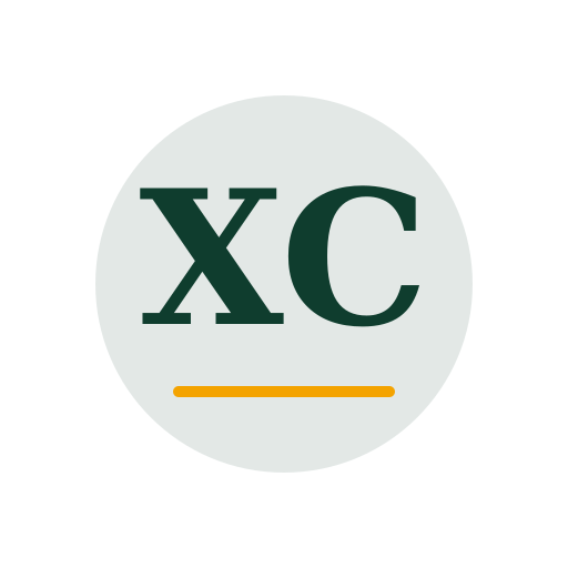 Xozel Chimney Repair logo